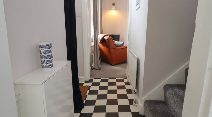 Photo of White Feathers