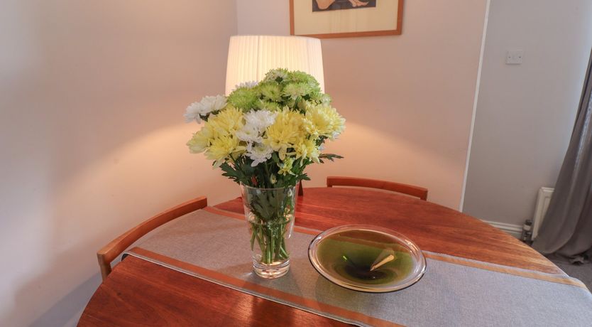 Photo of White Feathers