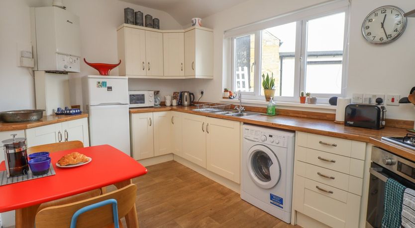 Photo of White Feathers