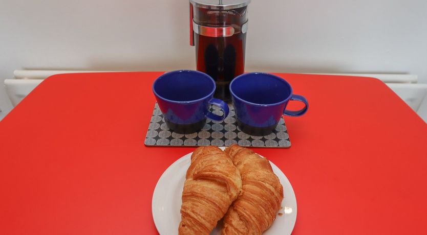 Photo of White Feathers