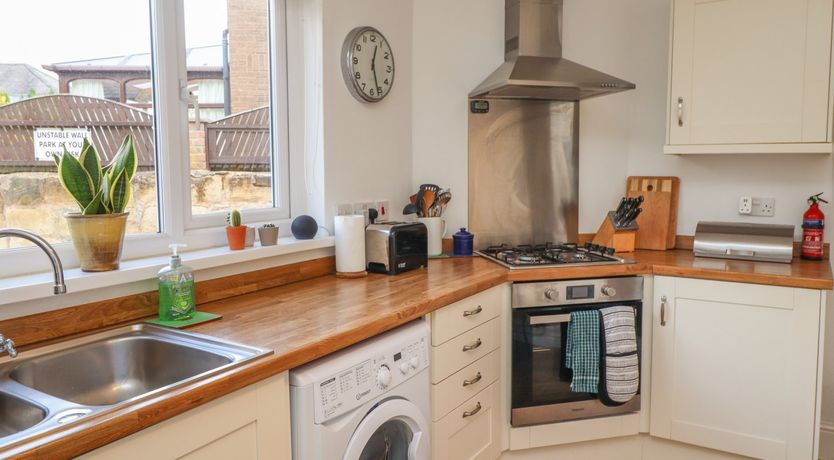 Photo of White Feathers