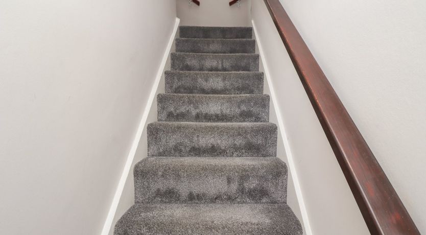 Photo of White Feathers