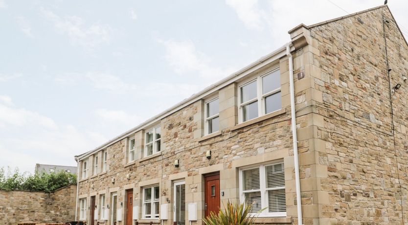 Photo of 2 Apple Tree