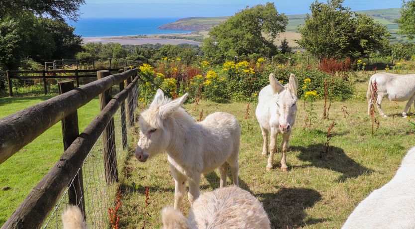 Photo of Penfeidr Newydd