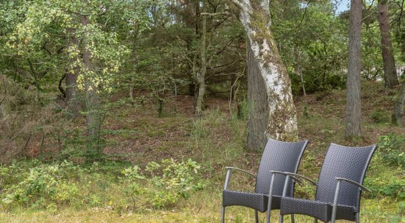 Photo of "Ros" - 350m from the sea