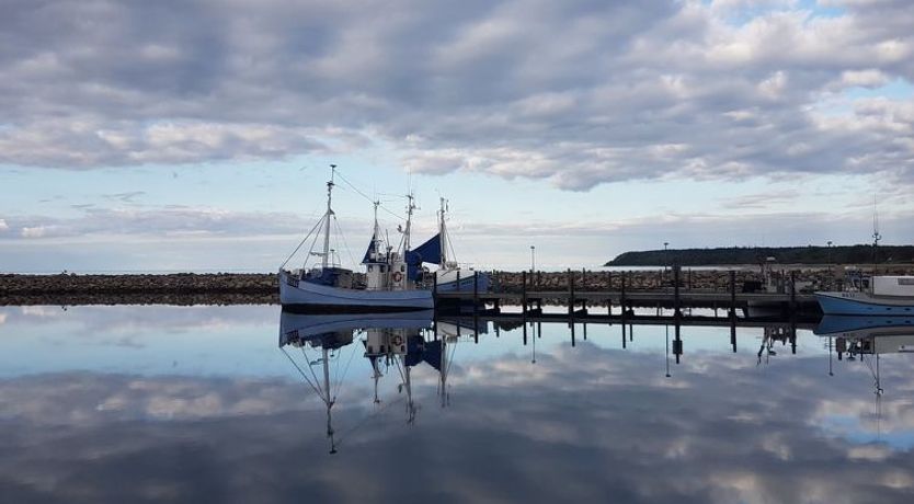 Photo of "Golubinka" - 500m from the sea