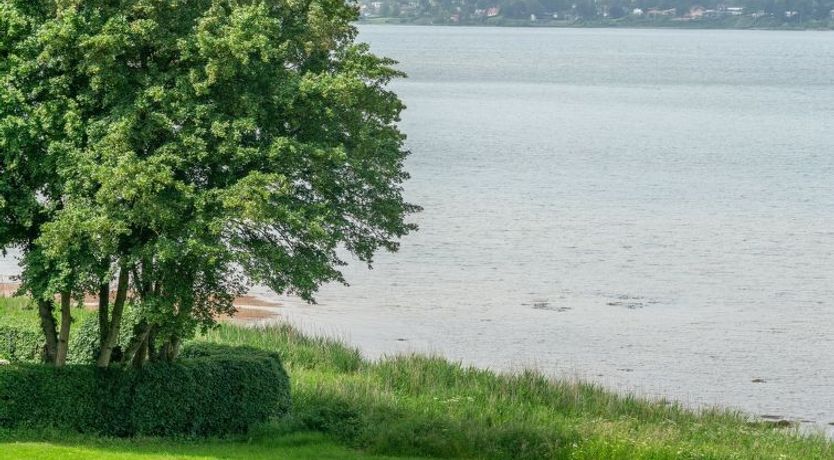 Photo of "Algot" - 100m to the fjord