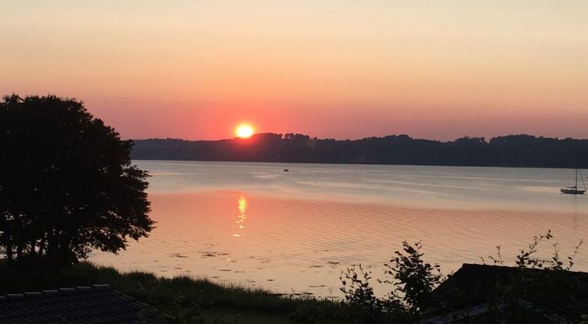 Photo of "Algot" - 100m to the fjord