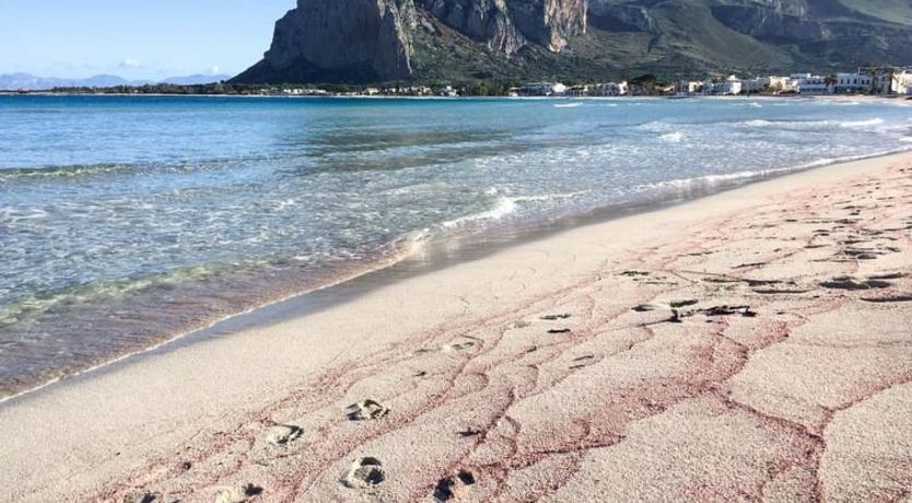 Photo of Carlo Gaia 165