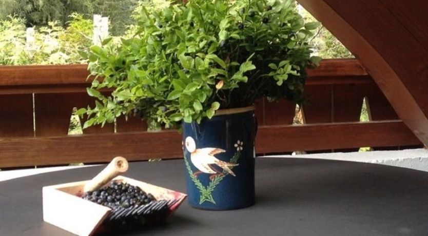 Photo of Village des Oursons Chalet A4