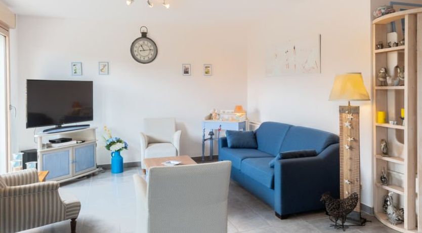 Photo of grand courlis