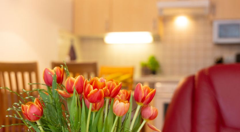 Photo of Sonnenküste