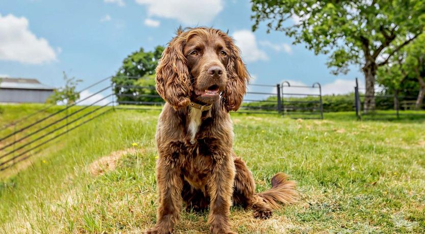 Photo of 1 Bed in Cullompton