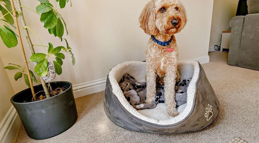 Photo of 2 Bed in Angarrack