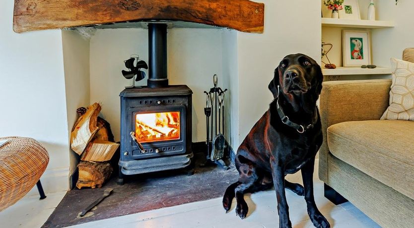 Photo of 1 Bed in Pennal