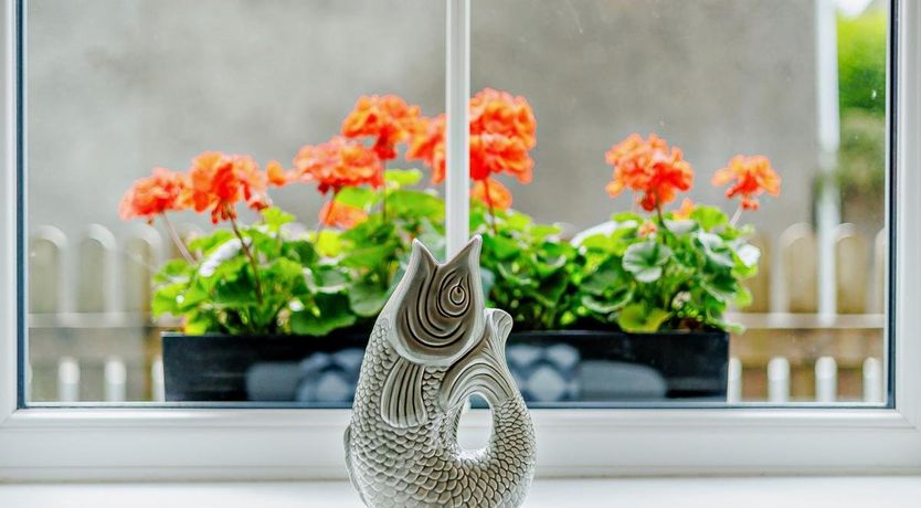 Photo of 1 Bed in Pennal