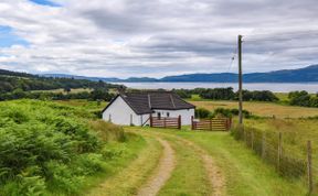 Photo of in Kilfinan (92681)