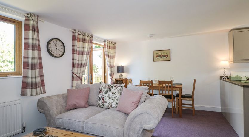 Photo of Foxes Earth