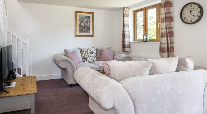 Photo of Foxes Earth