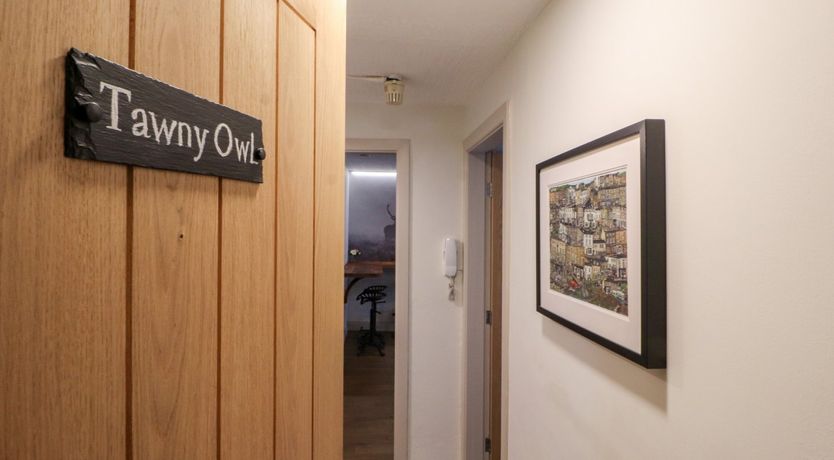 Photo of The Old Hayloft - Tawny Owl