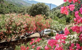 Photo of Residence Cabanaccia Studio 38m² Apartment 4