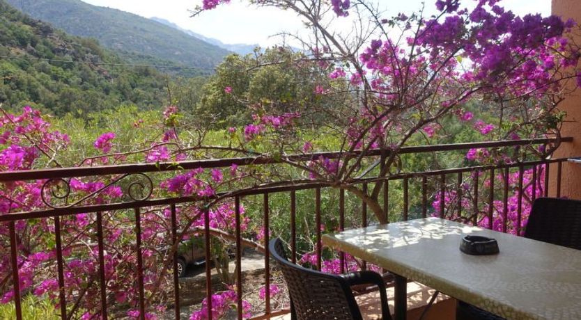 Photo of Residence Cabanaccia Studio 35m² Apartment 5