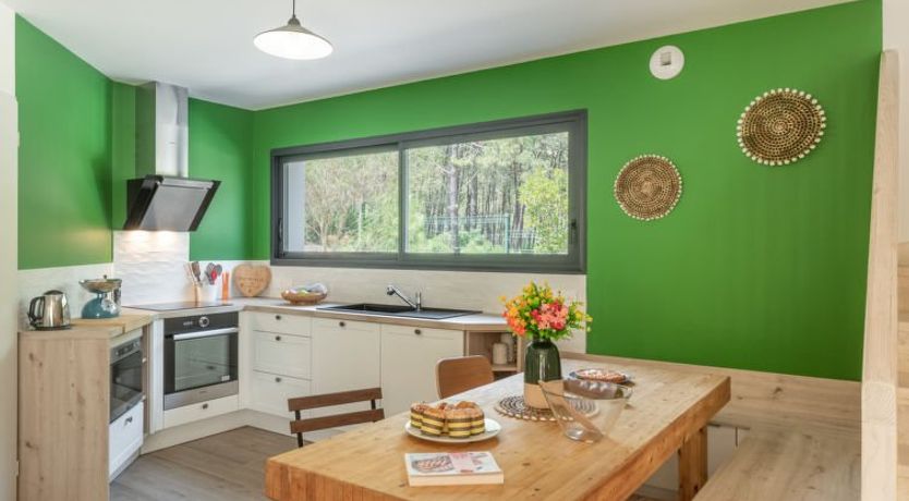 Photo of Ocean forest