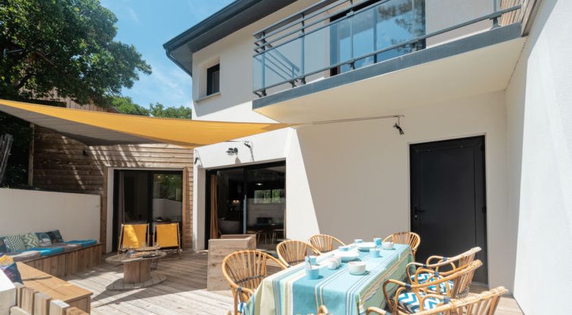 Photo of Ocean forest