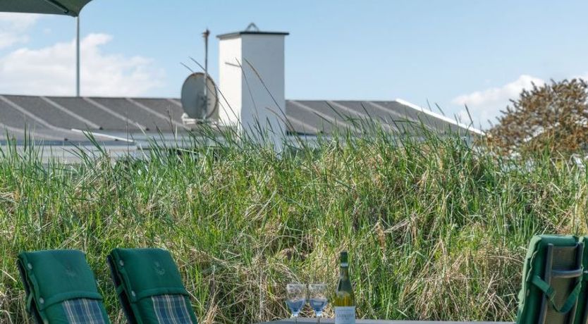 Photo of "Bertil" - 400m from the sea