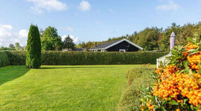 Photo of "Joona" - 600m from the sea