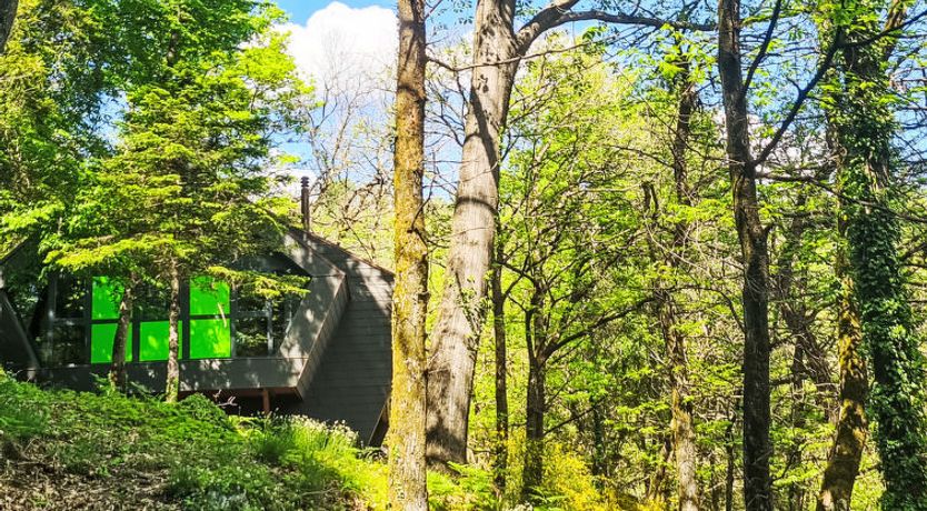 Photo of Bosco della Bella 6