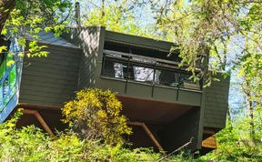 Photo of Bosco della Bella 6