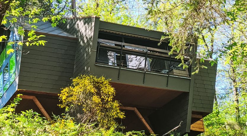 Photo of Bosco della Bella 6