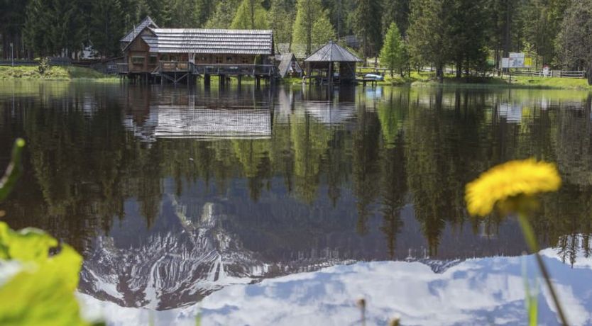 Photo of Superior #56 mit IR-Sauna&Sprudelbad Holiday Home 15