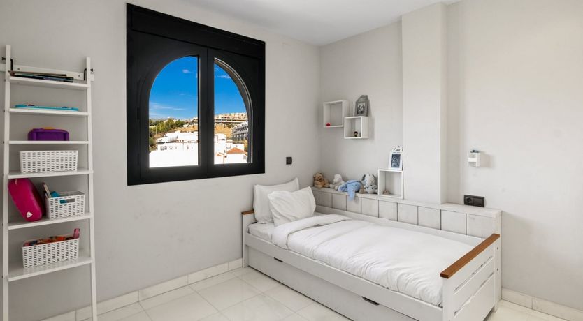 Photo of Tangerine Sun