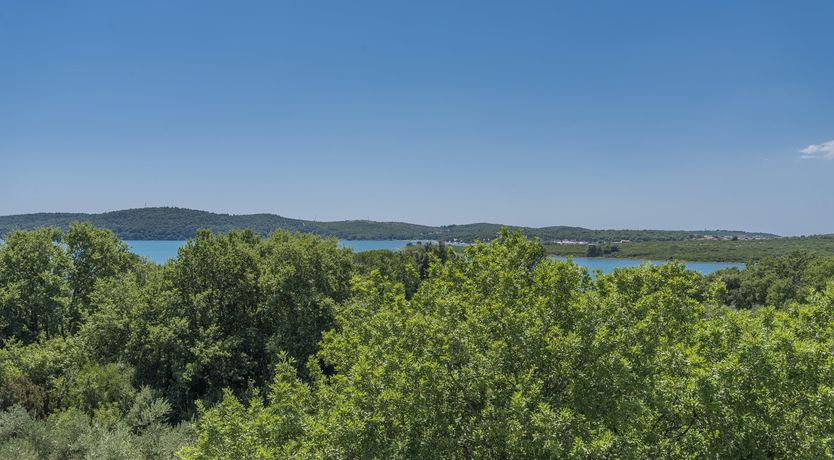 Photo of Ionian Siren