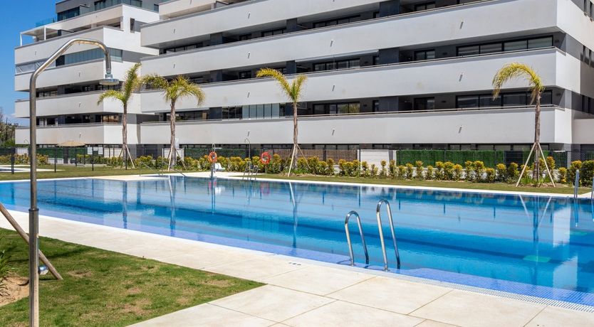 Photo of Summer's Joy