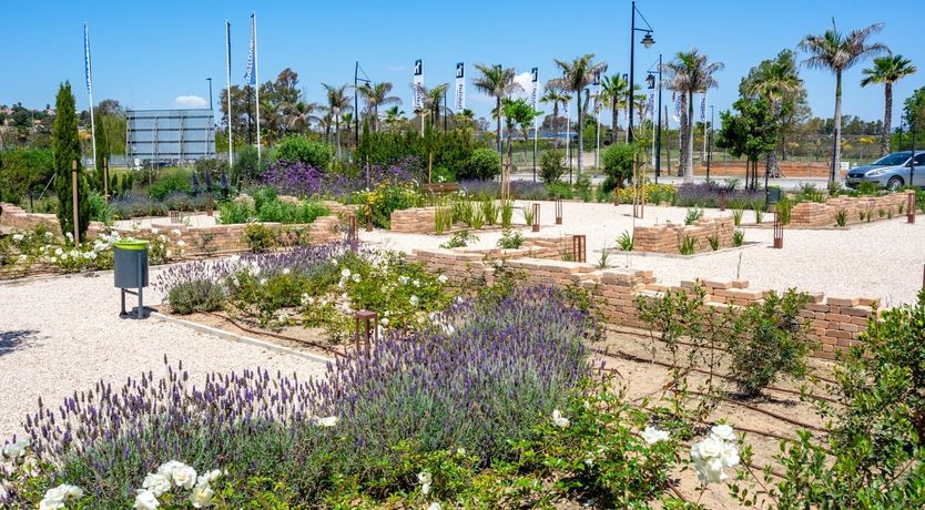 Photo of Summer's Joy