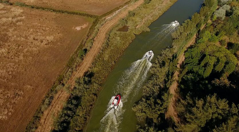 Photo of The Albufeira Sun