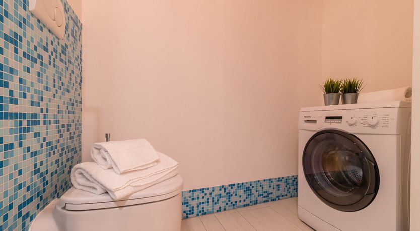 Photo of The Venetian Rose