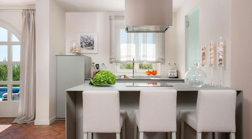 Photo of The Magic Rose