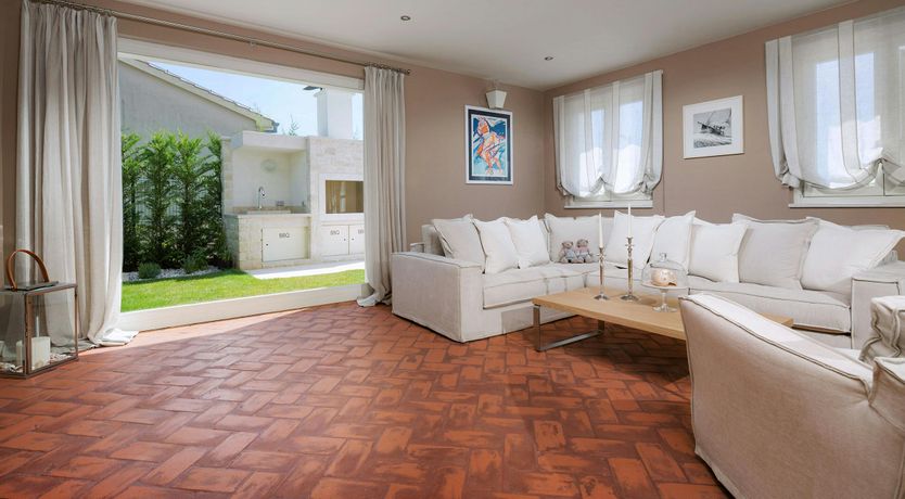 Photo of The Magic Rose