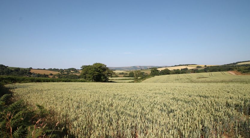 Photo of Bridlecott, Monksilver