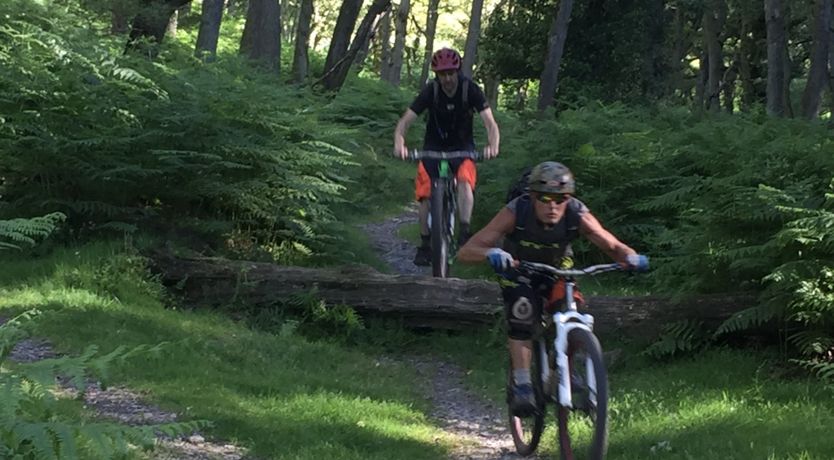 Photo of The Pippins, Old Cleeve