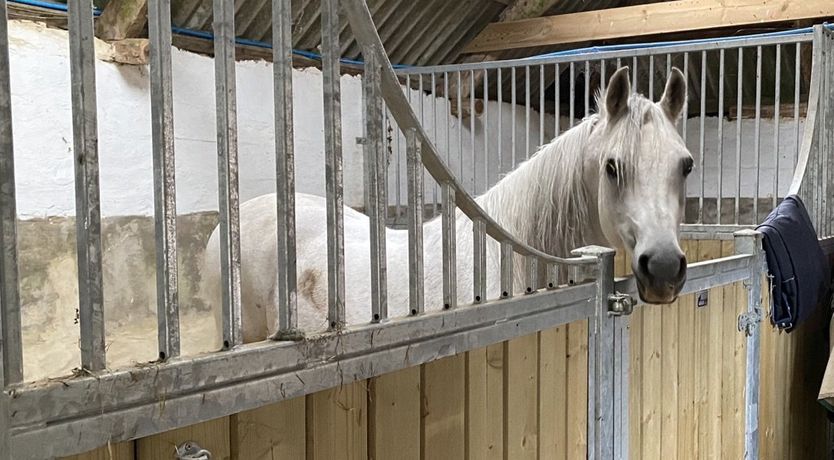 Photo of Stockham Farm, Dulverton