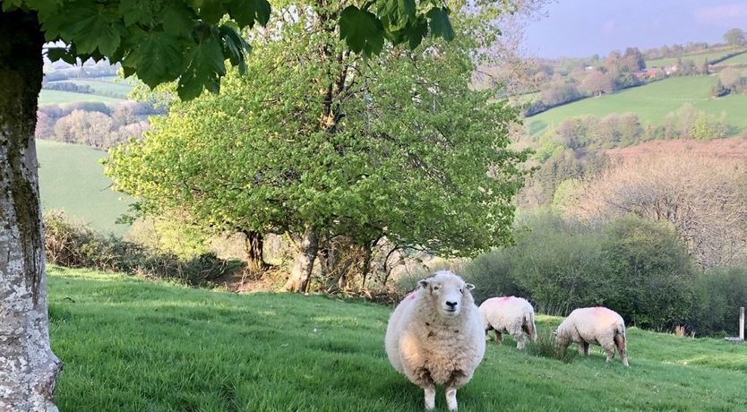 Photo of Stockham Farm, Dulverton
