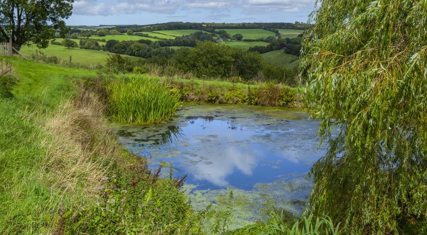 Photo of Stockham Farm, Dulverton