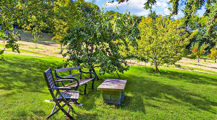 Photo of Coachmans Cottage, West Porlock