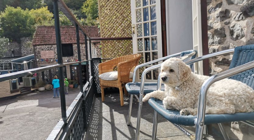 Photo of Harbour House Apartment, Porlock Weir
