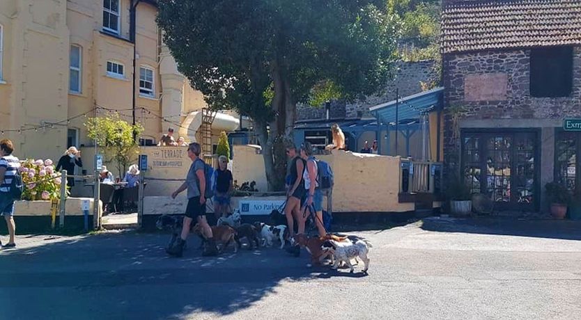 Photo of Harbour House Apartment, Porlock Weir